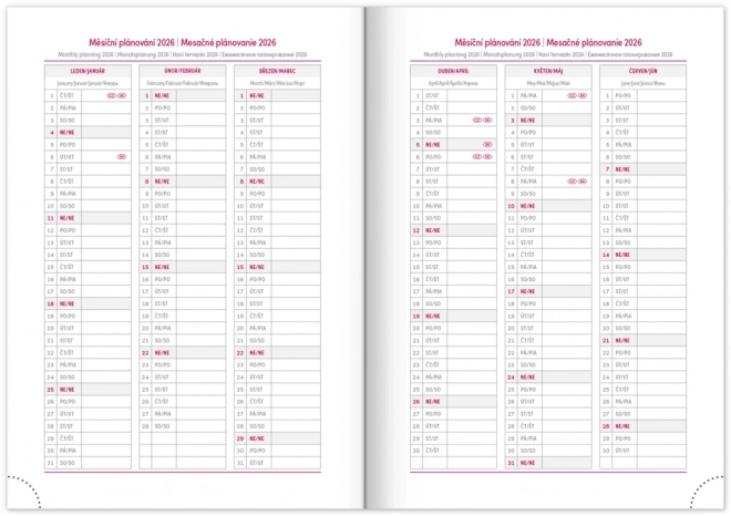 NOTIQUE Wekelijkse agenda Balacron 2025, zilverkleurig, 15 x 21 cm