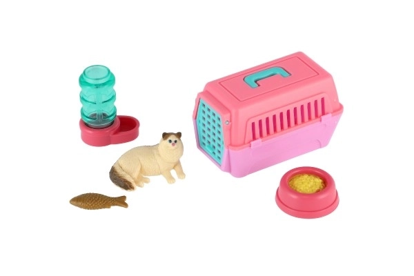 Poes met draagbare doos en accessoires