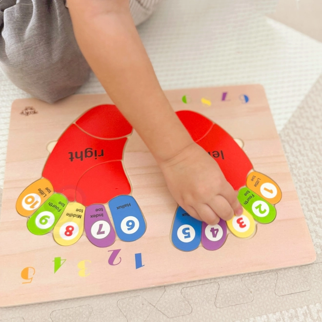 TOOKY TOY Lernpuzzle aus Holz - Zahlen und Farben lernen