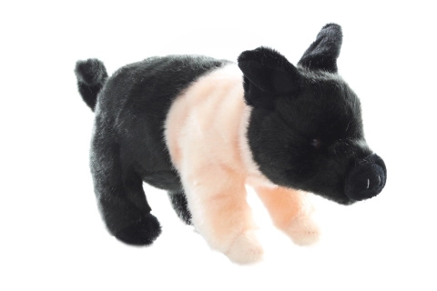 Pluchen varken