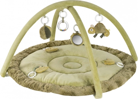 3D actieve speelmat kameleon met speelbogen
