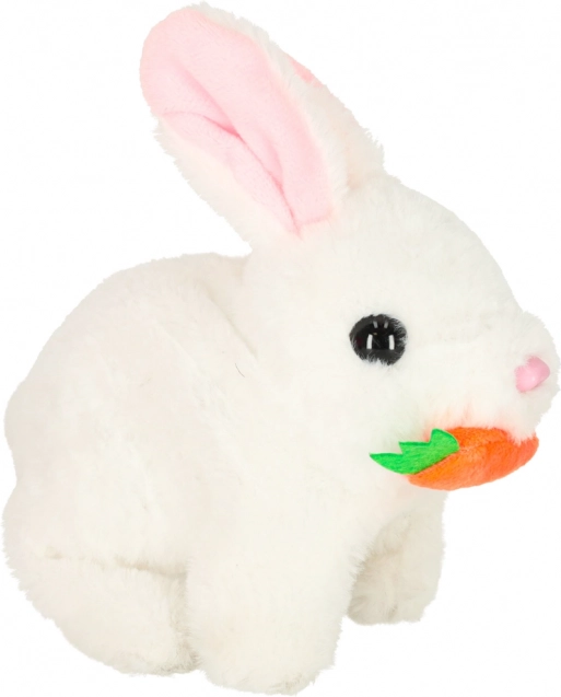 Lapin Interactif avec Carotte