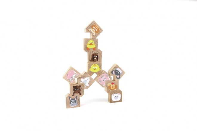 Houten balansspel met huisdieren