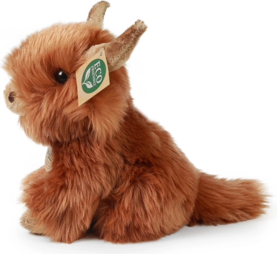 Authentic appearance of Highland cow