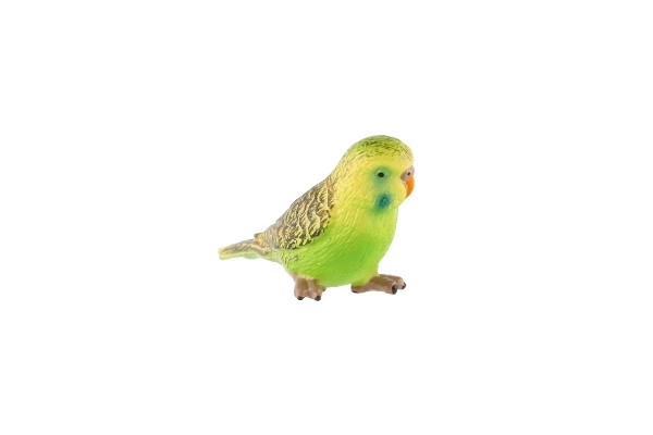 Parkiet met golvende veren zooted plastic 9cm in zakje