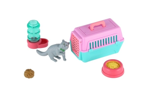 Poes met draagbare doos en accessoires