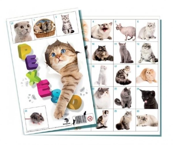 Pexeso Katten gezelschapsspel 32 afbeeldingen paren