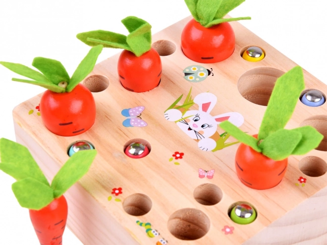 Houten spel met worteltjes en wormpjes