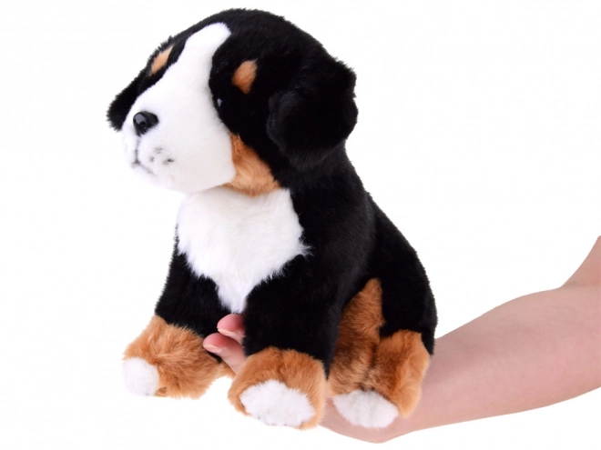 Pluche hond Berner Sennen - zittend 20 cm