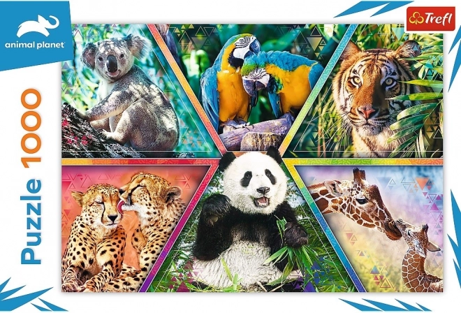 TREFL quality and calendered paper