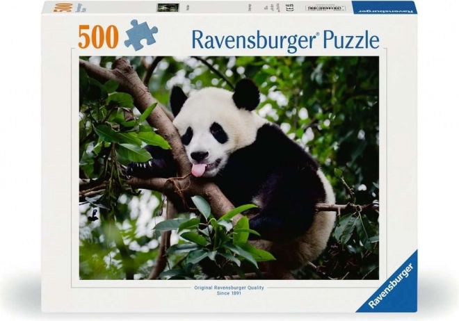 Realistisch beeld van panda