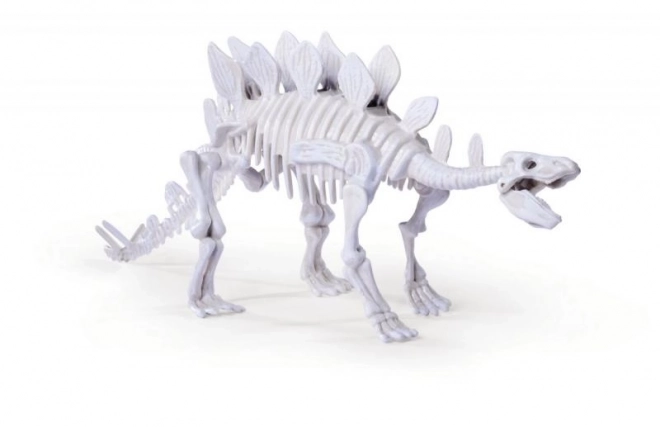 Set voor het opgraven en assembleren van dinosauriër skeletten