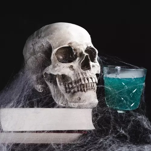 Halloween kunstmatige spinnenweb met spinnen