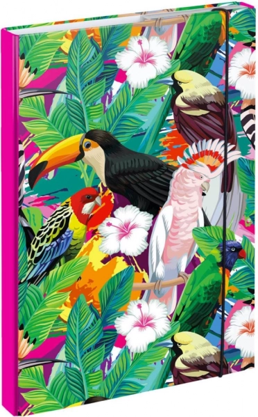 BAAGL Chemises pour cahiers A4 Toucan