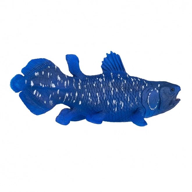Mojo Coelacant