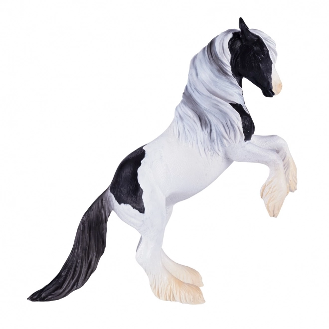 Mojo Hengst Gypsy Vanner