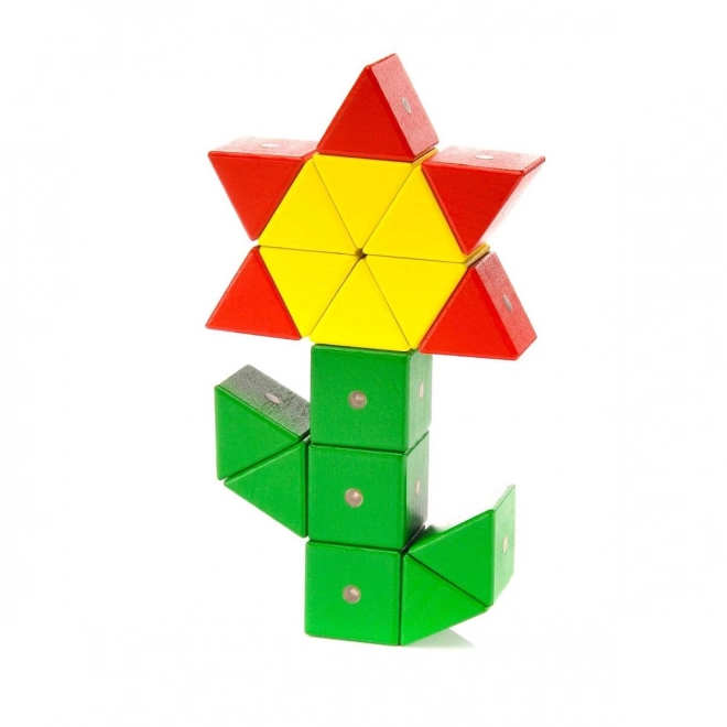 Houten magnetische blokken WABI 40 stuks