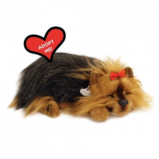 Perfect Petzzz Blaffende Yorkie Puppy