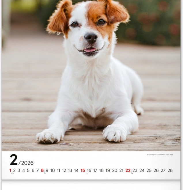 Calendrier mural Chiens 2026