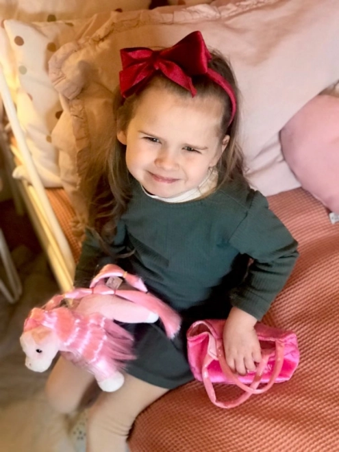 Plüschpony und Tasche Princess
