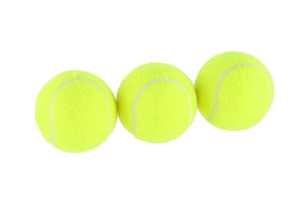 Ballons de tennis récréatif