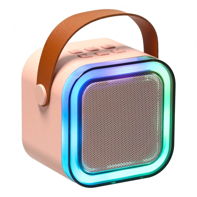 Ensemble karaoké 2 microphones + haut-parleur portable BLUETOOTH USB LED rose