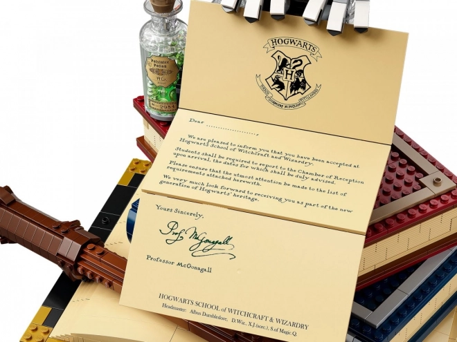 LEGO® Harry Potter 76391 Zwijnsteinicoontjes - Collectors editie