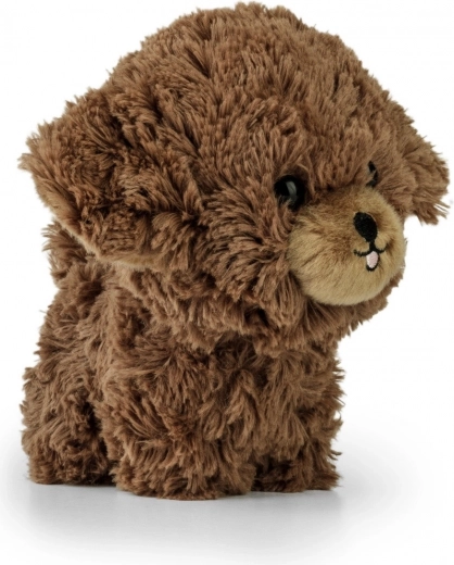 Adorable details for a lively expression