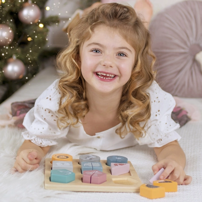 Shape Puzzle PolarB