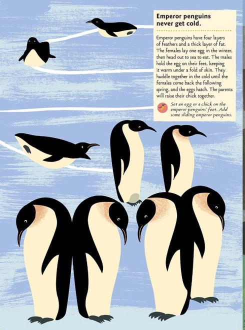 Chronicle Boeken Activiteitenboek met stickers mijn natuur Vogels van de wereld