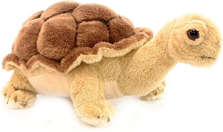 Realistic look with a detailed shell