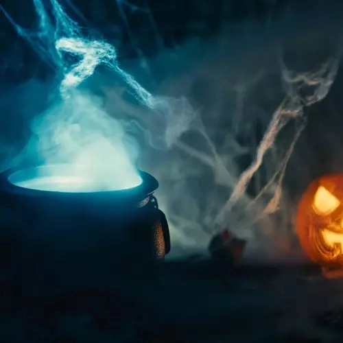 Halloween kunstmatige spinnenweb met spinnen