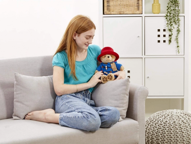 Regenboog Pluche Paddington middelgroot
