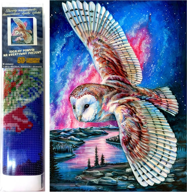 Norimpex Diamant Schilderen Uilenvlucht 30x40cm
