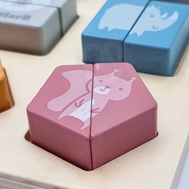 Shape Puzzle PolarB