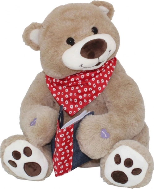 Fairy Tale Teddy Max – plush storyteller with 3 Czech fairy tales, 36 cm