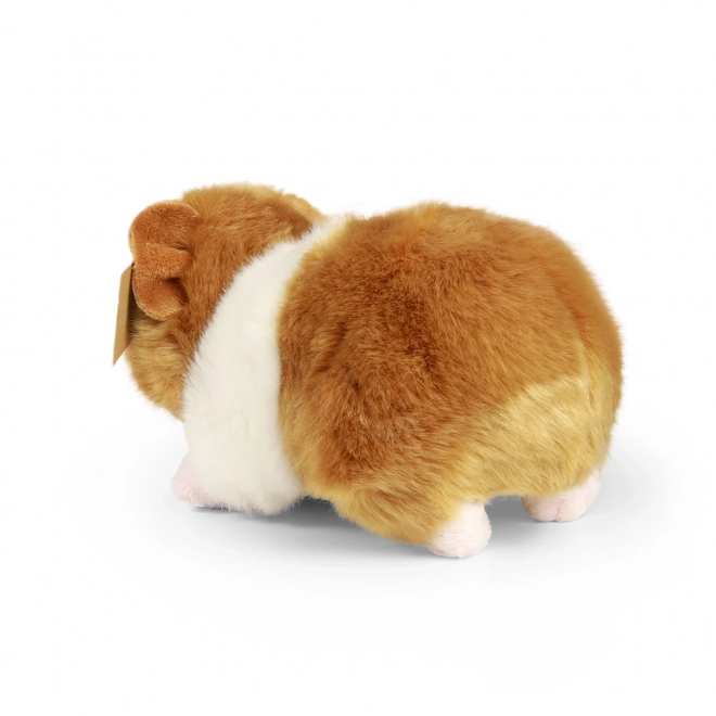 Pluchen cavia Rappa Milieuvriendelijk