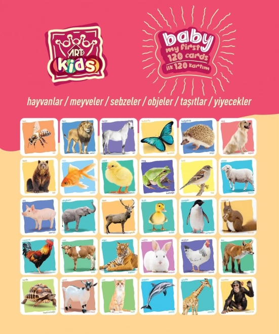 Art Kids Baby mijn eerste kaartjes