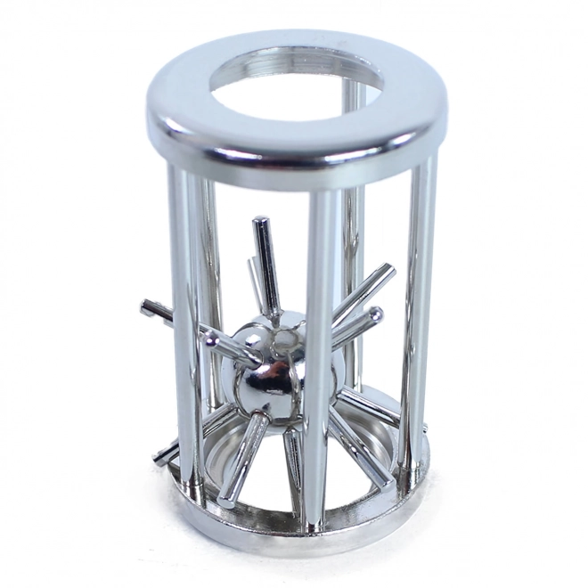 Puzzel egel in een metalen kooi