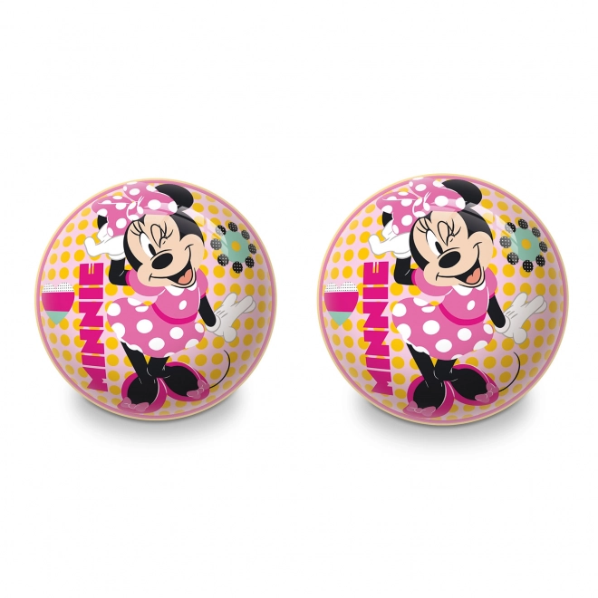 Ideaal voor Minnie-fans