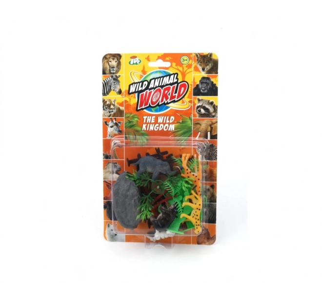Discover and Learn Wild Animals Set