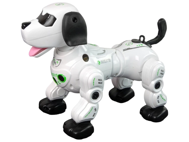 Interactieve op afstand bestuurbare robotische hond