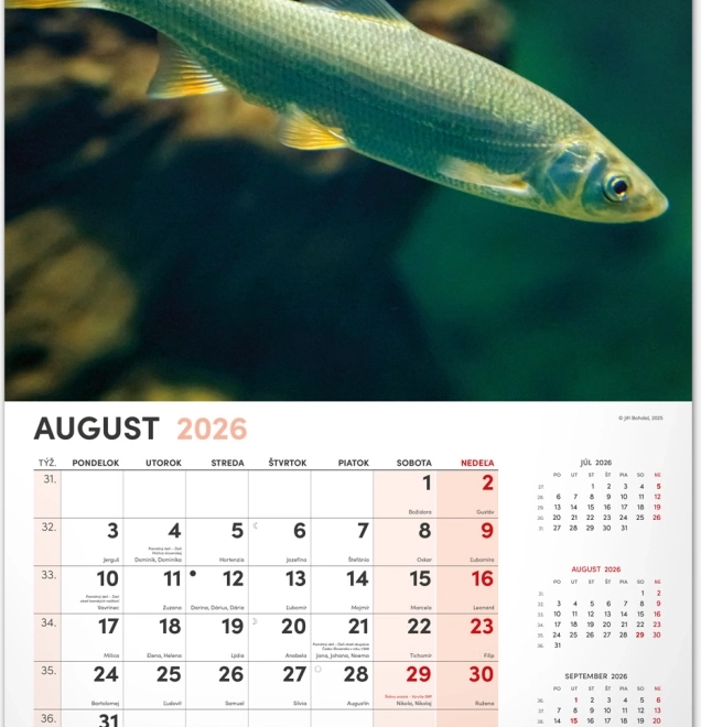 Muurkalender Vissen 2026