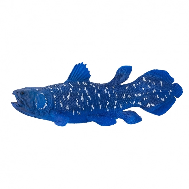 Mojo Coelacant