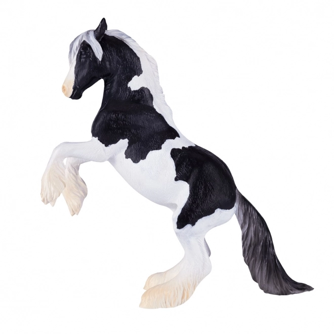 Mojo Hengst Gypsy Vanner