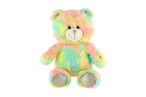 Droombeer regenboog knuffel 40cm op batterijen met licht en geluid in zak