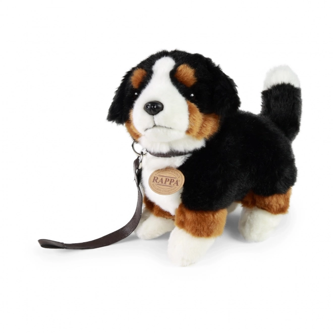 Chien bouvier bernois en peluche Eco-Friendly 22 cm