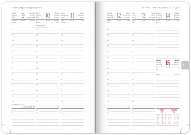 AGENDA Hebdomadaire Ajax 2025, vert, 15 x 21 cm