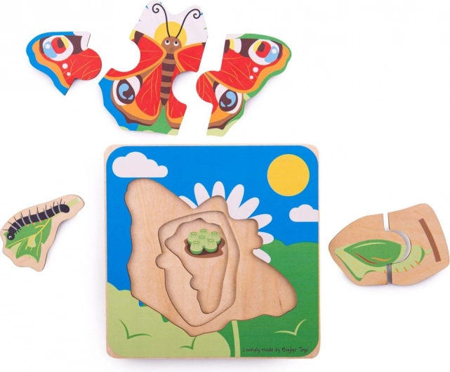 Apprentissage visuel du cycle de vie