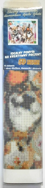 NORIMPEX Diamantschilderen Gekke Selfie 30x40cm